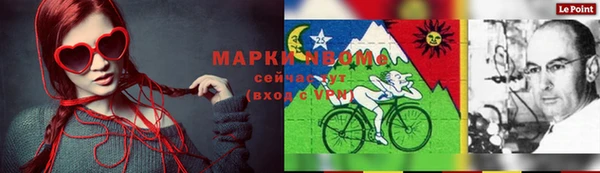 ГАЛЛЮЦИНОГЕННЫЕ ГРИБЫ Аркадак
