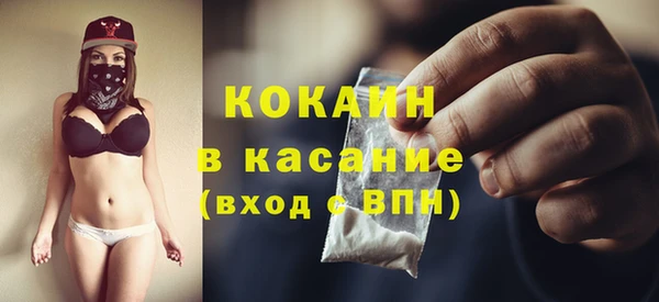 ГАЛЛЮЦИНОГЕННЫЕ ГРИБЫ Аркадак