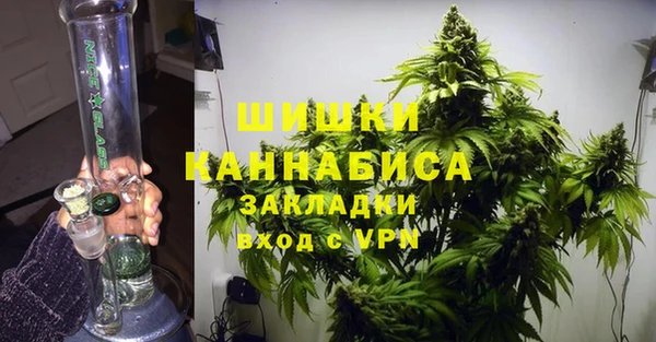ГАЛЛЮЦИНОГЕННЫЕ ГРИБЫ Аркадак