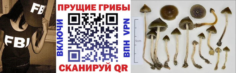 Галлюциногенные грибы ЛСД  Белебей 